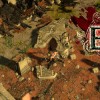 PoE Review